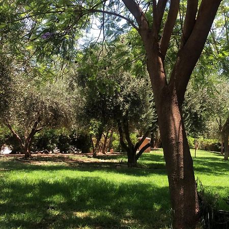 Palmeraie Village 2 - Cosi Appartement En Rez De Jardin Marrakesz Zewnętrze zdjęcie