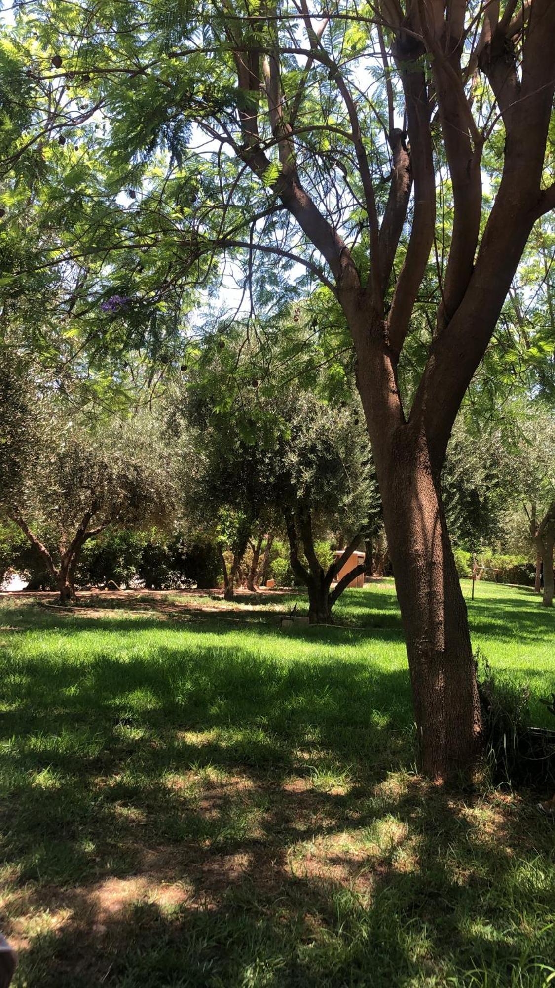 Palmeraie Village 2 - Cosi Appartement En Rez De Jardin Marrakesz Zewnętrze zdjęcie
